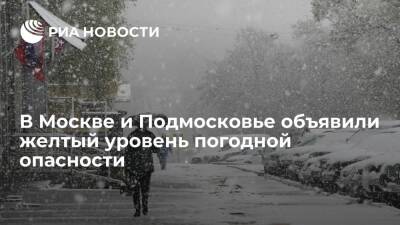 В Москве и Подмосковье объявили желтый уровень погодной опасности из-за мокрого снега