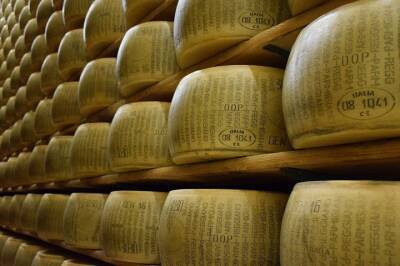 Ученые перечислили новые полезные свойства сыра