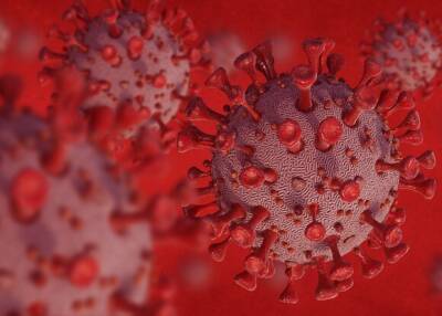 Инфекционист назвал уделяемое новым штаммам коронавируса внимание излишним