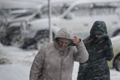 Снегопад и ветер до 30 м/с ожидаются в Хабаровском крае в начале недели