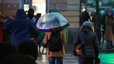 Синоптики предупредили петербуржцев о резких переменах атмосферного давления в выходные