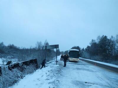 В Нижегородской области автобус улетел в кювет, пострадали 14 пассажиров