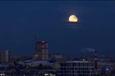 Астрофотограф сделал снимки красного лунного затмения из Новосибирска