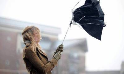 В Киеве днем ожидается сильный ветер