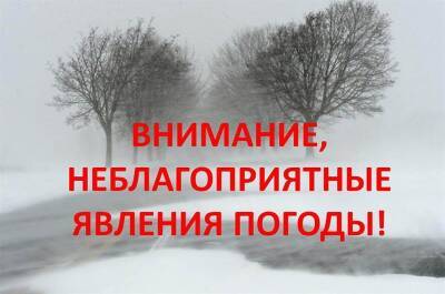 Жителей Ульяновской области сегодня призывают ограничить уличные прогулки
