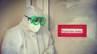 В России повторился суточный максимум смертности от коронавируса