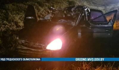 В Островецком районе сбили лося: в результате столкновения погиб водитель