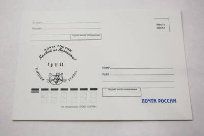 Воронежский котенок с улицы Лизюкова попадет на почтовые конверты
