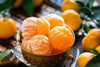 Сочинские селекционеры трудятся над созданием нового сорта мандаринов