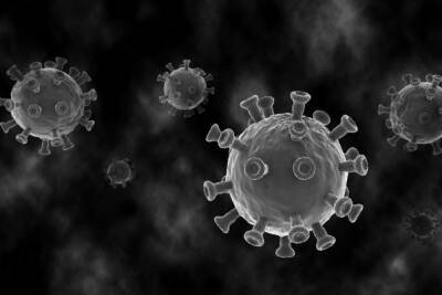 За сутки в Новгородской области заразились коронавирусом 335 человек