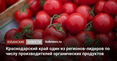 Краснодарский край один из регионов-лидеров по числу производителей органических продуктов