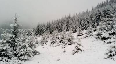 В горах Карпат выпало до метра снега