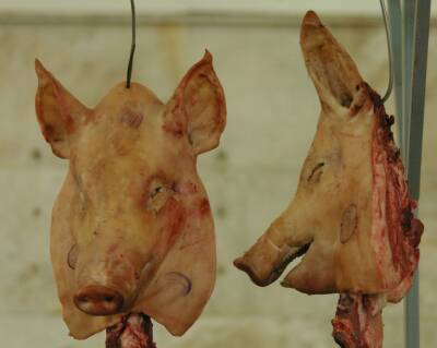 В правительстве Ленобласти опровергли информацию о чуме в мясе