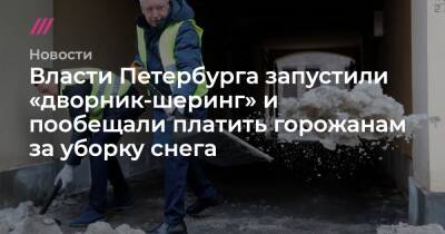 Власти Петербурга запустили «дворник-шеринг» и пообещали платить горожанам за уборку снега