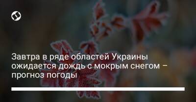 Завтра в ряде областей Украины ожидается дождь с мокрым снегом – прогноз погоды