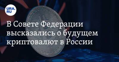 В Совете Федерации высказались о будущем криптовалют в России
