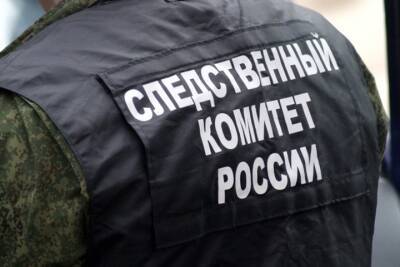 СК возбудил уголовное дело после смерти младенца в ДТП в Новой Москве
