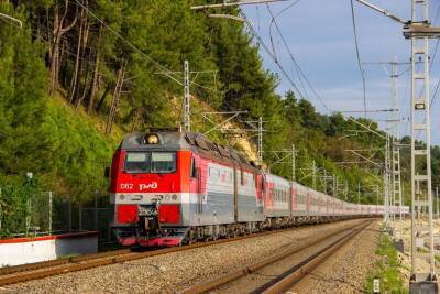 РЖД уберет и сократит более 40 поездов из Петербурга в Москву