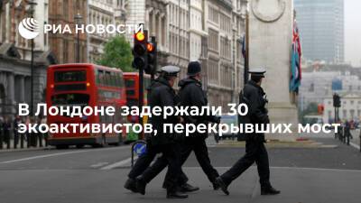 В Лондоне полиция задержала 30 экоактивистов, заблокировавших движение по мосту
