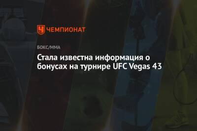 Стала известна информация о бонусах на турнире UFC Vegas 43