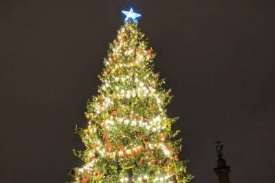 Хабаровчане могут нарядить новогоднюю елку своими игрушками