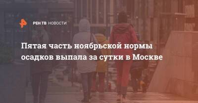 Пятая часть ноябрьской нормы осадков выпала за сутки в Москве