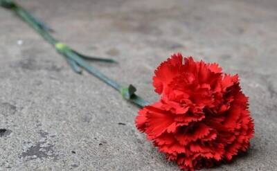 Мероприятия по случаю Всемирного дня памяти жертв ДТП пройдут сегодня в России