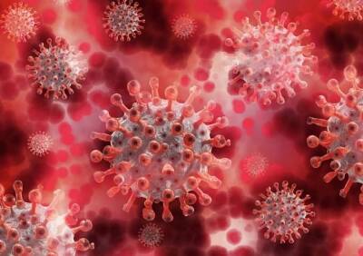 Ученые нашли людей с особо защитой от коронавируса