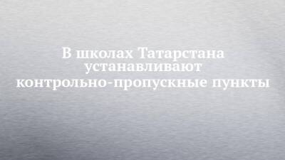 В школах Татарстана устанавливают контрольно-пропускные пункты