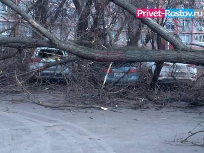 Штормовое предупреждение объявлено в Ростовской области на 21 ноября из-за ураганного ветра