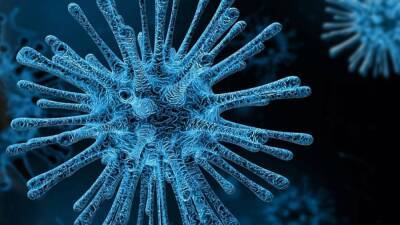 Японский генетик Итуро Иноуэ выдвинул теорию о самоуничтожении дельта-штамма коронавируса