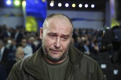 Дмитрий Ярош: армия Украины не может самостоятельно нанести «сокрушительного поражения» России