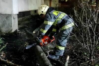 Тульские спасатели убрали упавшие во время сильного ветра деревья