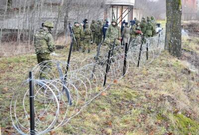 В Эстонии начали строить ограждение на границе с Россией
