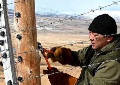 В Республике Алтай на границе с Монголией демонтировали колючую проволоку для свободной миграции животных