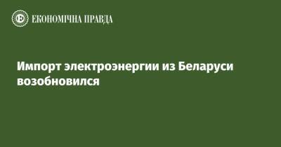 Импорт электроэнергии из Беларуси возобновился