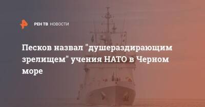 Песков назвал "душераздирающим зрелищем" учения НАТО в Черном море