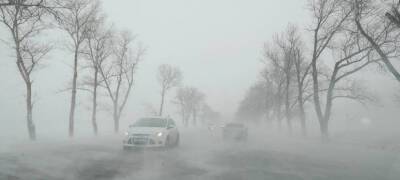 Ветер усилится: штормовое предупреждение объявили в Карелии