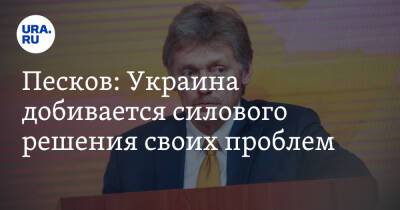 Песков: Украина добивается силового решения своих проблем. Видео