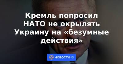 Кремль попросил НАТО не окрылять Украину на «безумные действия»