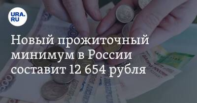 Новый прожиточный минимум в России составит 12 654 рубля