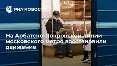 На синей линии московского метро восстановили движение после падения пассажира на рельсы