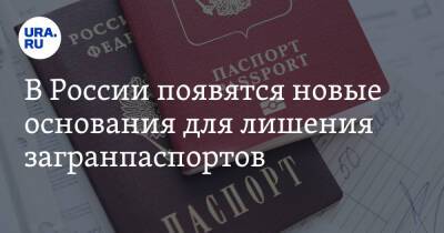 В России появятся новые основания для лишения загранпаспортов