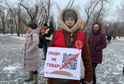 В Госдуме назвали элементом демократии митинги против QR-кодов в России в случае их согласования