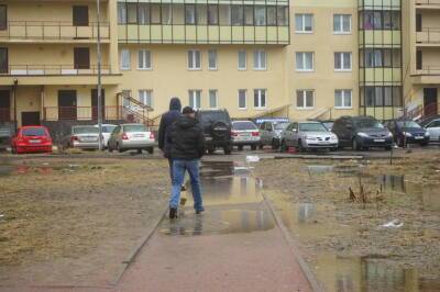 В Петербурге ожидается сильный ветер и похолодание