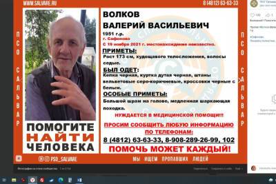 Пропавшего 19 ноября мужчину 1951 года рождения ищут в Смоленской области