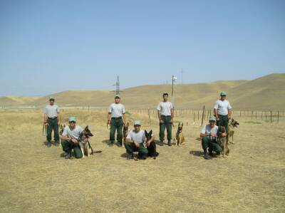 США подарят Азербайджану еще 30 собак-миноискателей