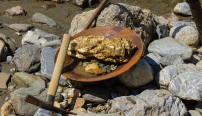 Сколько золота нашли кладоискатели во время золотой лихорадки в Аляске?