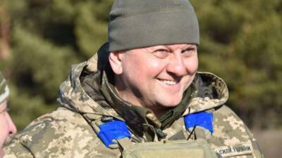 Главнокомандующий ВСУ Залужный: в украинской армии появятся общественные экспертные группы