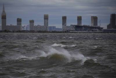 Сильный ветер ожидается в Петербурге в ночь на понедельник